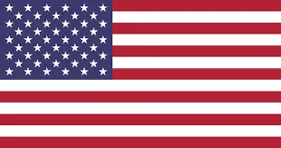 american flag-Bartlett